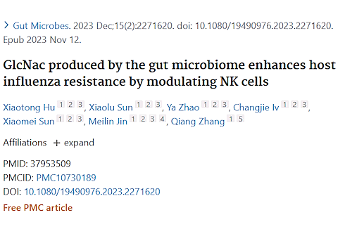 Suppletie met N-acetyl-D-glucosamine brengt NK-cellen in stelling tegen griepvirussen