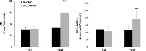 Hoe de combinatie van NADH en Q10 vermoeidheid bestrijdt