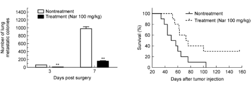 Citrusflavonoid naringenin remt uitzaaien van borstkanker