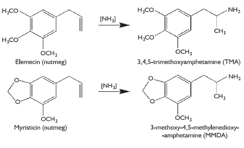 Spelen amfetamines in voeding een rol bij het kerstgevoel?