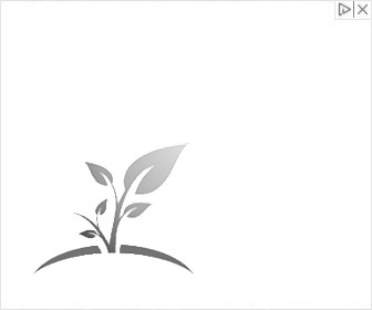 Natuurlijke omgeving