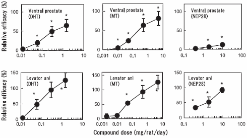 NEP28, een SARM voor je hersenen (en je spieren, natuurlijk)