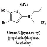 NEP28, een SARM voor je hersenen (en je spieren, natuurlijk)
