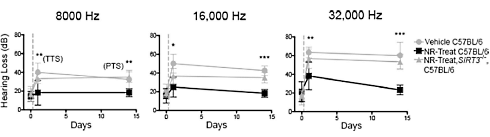 Dierstudie: nicotinamide-riboside beschermt je oren tegen lawaai