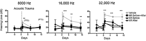 Dierstudie: nicotinamide-riboside beschermt je oren tegen lawaai