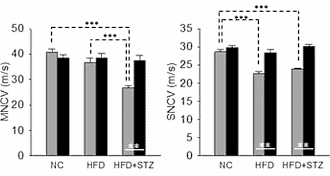 Antiverouderings-vitamine nicotinamide-riboside houdt diabeten gezond