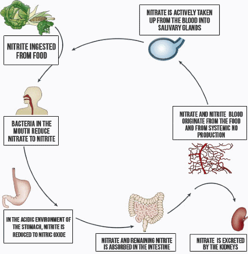 Sporter die bacteriedodend mondwater gebruikt heeft niets meer aan beetroot