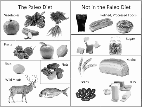 Mediterraan dieet en paleodieet allebei gezond