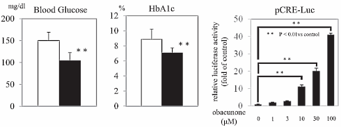 Obacunone, nomilin... Er zitten anabolen in citrusvruchten