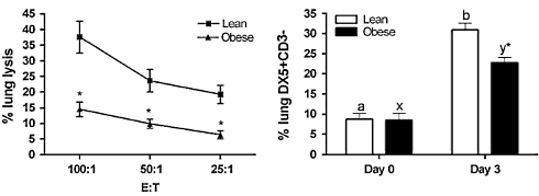 Teveel lichaamsvet maakt influenza dodelijker