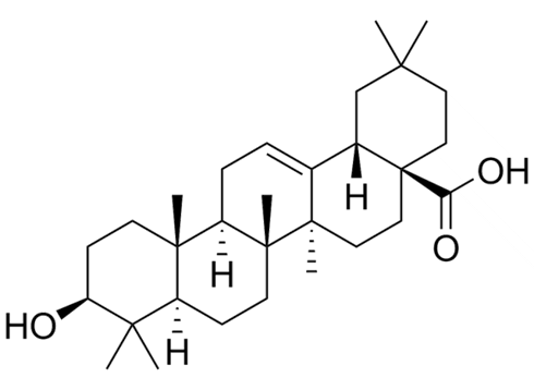 Chaga remt replicatie van SARS-CoV-2 in de longen | Dierstudie