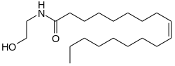 Oleoyl-ethanolamide: hoe noten de eetlust kunnen afremmen