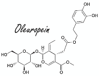 Een stof in olijven imiteert in spierweefsel de werking van insuline