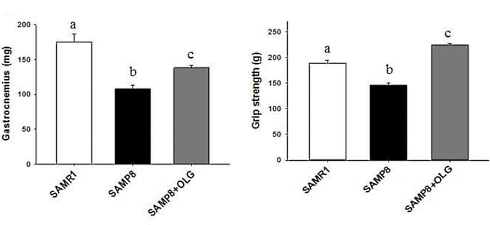 Oligonol | Een anabool supplement op basis van lychees