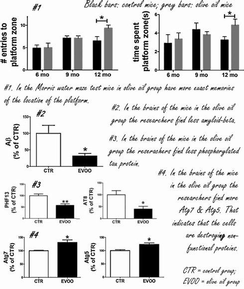 Vierge-olijfolie beschermt misschien tegen dementie