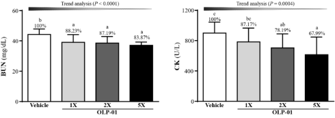 Ontdekt: supermensbacterie Bifidobacterium longum OLP-01