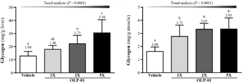 Ontdekt: supermensbacterie Bifidobacterium longum OLP-01