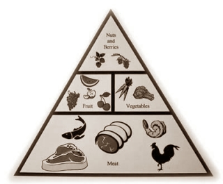 Kun je zoveel als je wilt als je het paleodieet volgt?