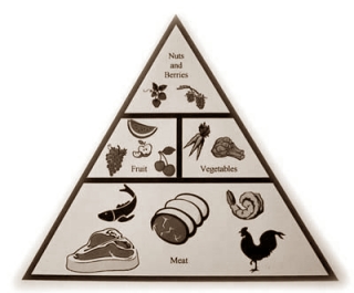 Paleodieet: eten zoveel je wilt en genoeg hebben aan 1388 kcal/dag