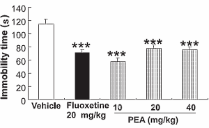 Palmitoylethanolamide, (misschien) een antidepressivum met (vrijwel zeker) nauwelijks bijwerkingen