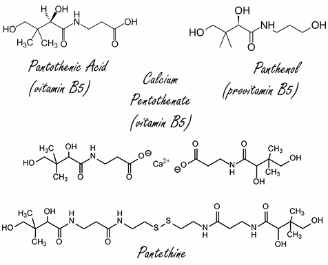 Megadosis pantethine halveert tumorgroei in dierstudie