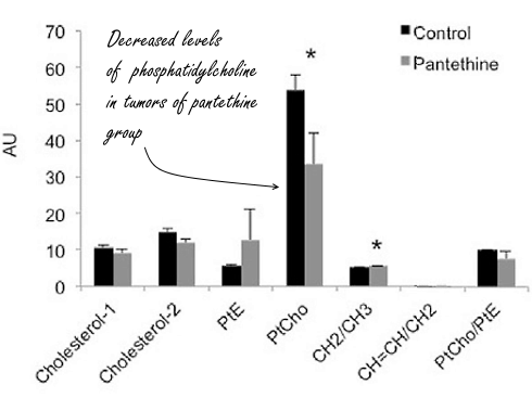 Megadosis pantethine halveert tumorgroei in dierstudie