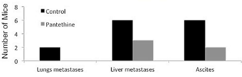 Megadosis pantethine halveert tumorgroei in dierstudie