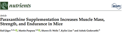 Paraxanthine maakt spieren groter, sterker en taaier | Dierstudie