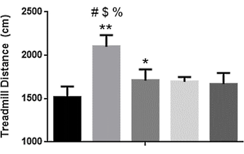 Paraxanthine maakt spieren groter, sterker en taaier | Dierstudie