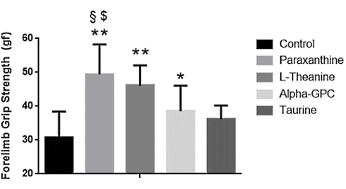 Paraxanthine maakt spieren groter, sterker en taaier | Dierstudie