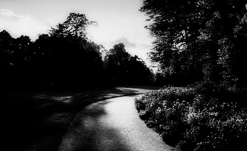 Stadsbewoner leeft langer in een groene wijk