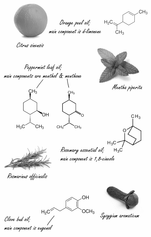 Inhaleren van essentiele olien na training vernelt herstel en vergroot uithoudingsvermogen