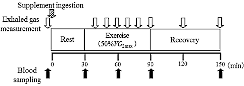 Laag-intensieve cardio voor het ontbijt verbrandt meer vet door een supplement met L-phenylalanine
