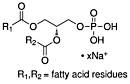 Phosphatidic Acid