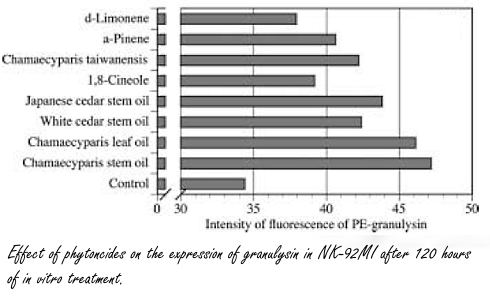 Hoe bomen je immuunsysteem sterker maken