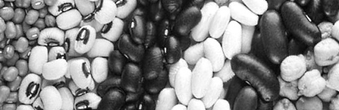 Voor ouderen zijn bonen levensverlengend. Dat ontdekte een internationale groep epidemiologen toen die 785 70-plussers 7 jaar volgden. Hoe meer bonen de ouderen dagelijks aten, hoe geringer was hun kans op overlijden.