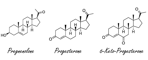 Hoe groot is de anabole werking van 6-ketoprogesteron?
