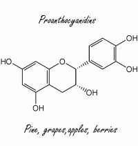 Verhoog je inname van flavonoïden, en verlaag je vetpercentage