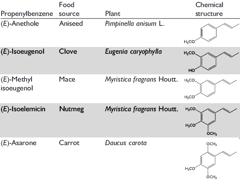 Spelen amfetamines in voeding een rol bij het kerstgevoel?