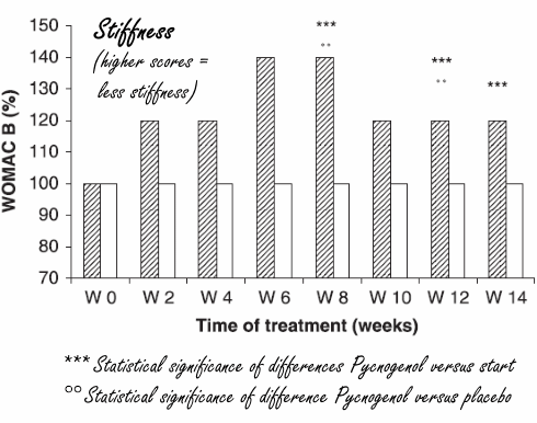 Pycnogenol, de plantaardige smeerolie voor versleten gewrichten