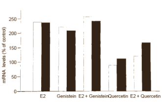 In veel kruiden, maar ook in uien, rode wijn, groene thee en de schil van rode appels zit het flavonoid quercetine. Die verbinding heeft volgens een Italiaanse studie een antioestrogene werking. In reageerbuizen onderschept quercetine het signaal van de estradiolreceptor aan de cel.