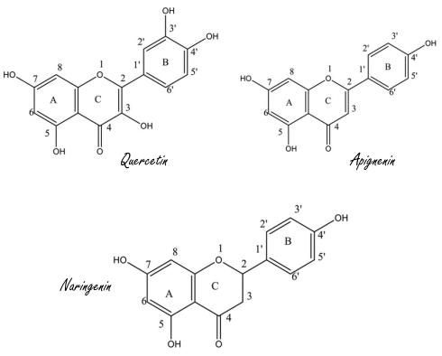 Citrusflavonoid naringenin remt uitzaaien van borstkanker