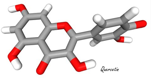 Quercetine maakt botten zwaarder en sterker, zegt metastudie