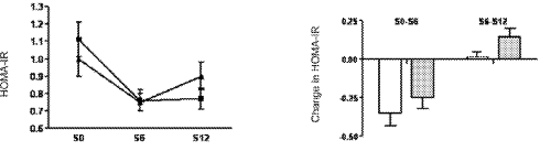 Geslaagd afslankdieet? Ecdysteroiden helpen je slank te blijven