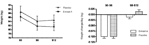 Geslaagd afslankdieet? Ecdysteroiden helpen je slank te blijven