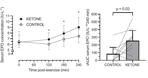 Verhoging EPO-spiegel door ketonen vergelijkbaar met hoogtetraining