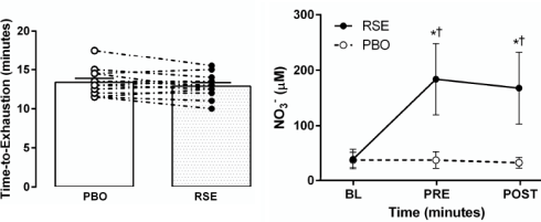 Red spinach komt in soorten en maten