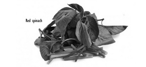 Red spinach komt in soorten en maten
