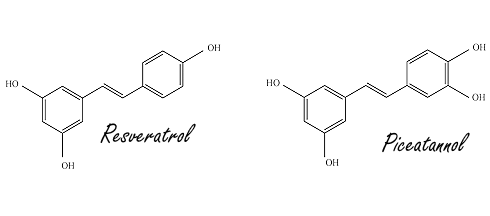 Minuscule dosis piceatannol verbetert gezondheid van de huid | Trial