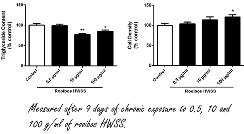Afslanken met rooibos?